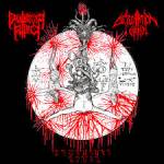 DESTROYER ATTACK / DESECRATION OF CHRIST "Primitive Noise"  CD
